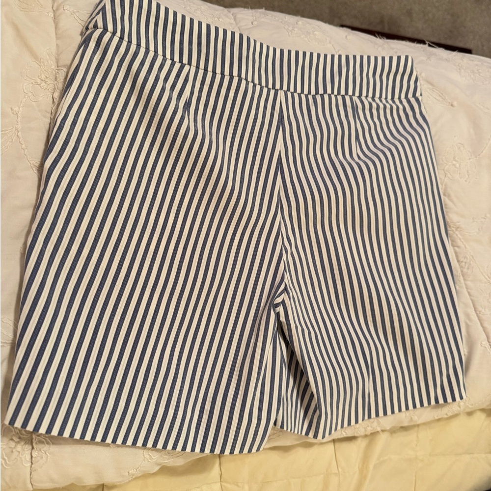 Bella Rose Closet Navy and White Striped Shorts